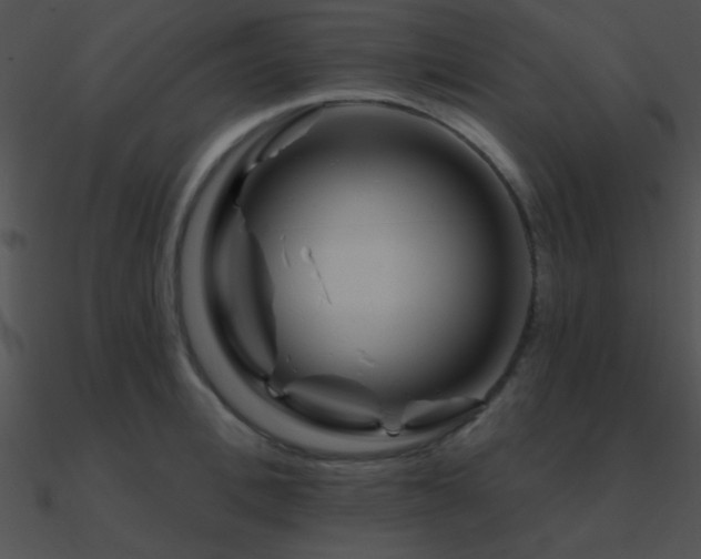 X0000090970996200708021433