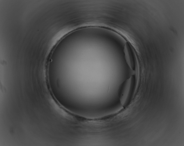 X0000090970998200708021433