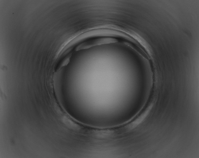 X0000090971001200708021433