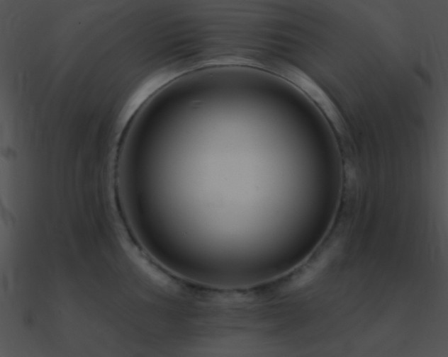 X0000090971002200708021433