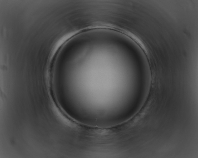 X0000090971003200708021433