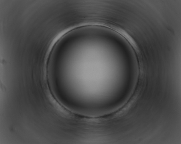 X0000090971004200708021433