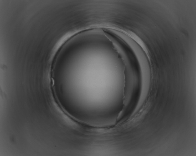 X0000090971005200708021433