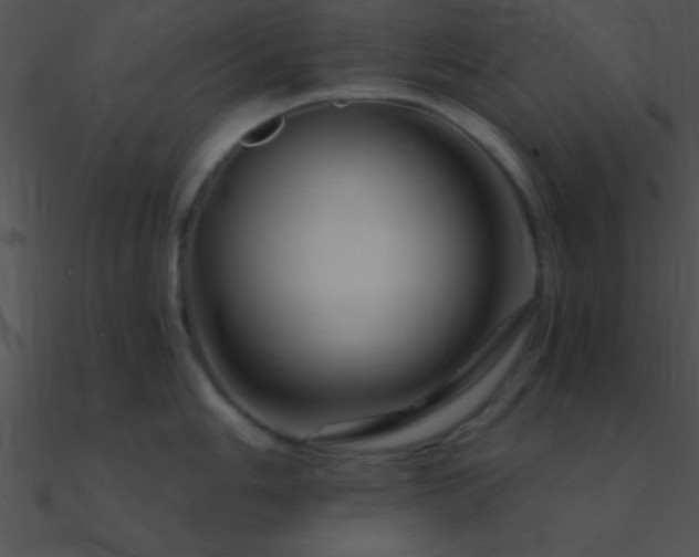 X0000090971006200708021433