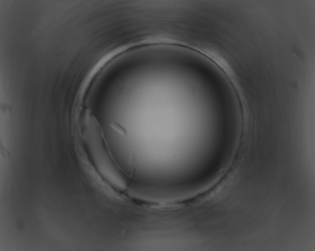 X0000090971008200708021433