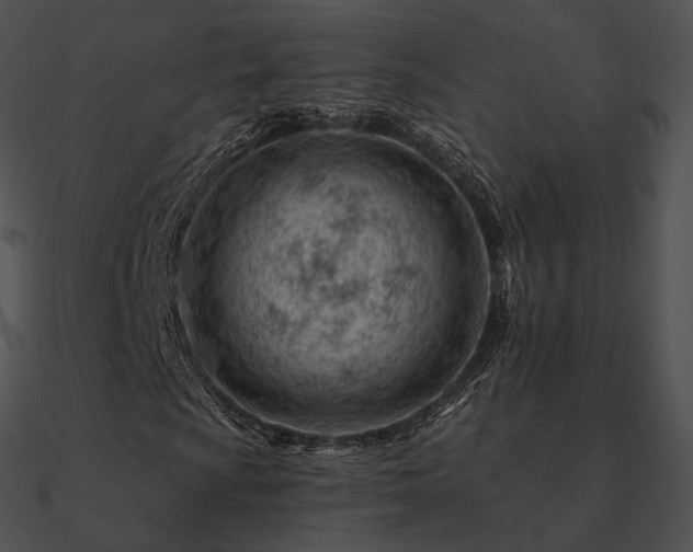 X0000090971009200708021432