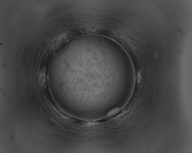 X0000090971011200708021432