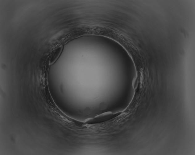 X0000090971013200708021433