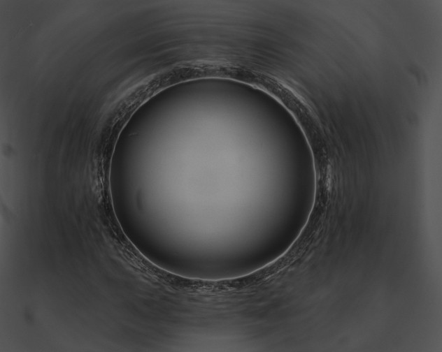 X0000090971015200708021433