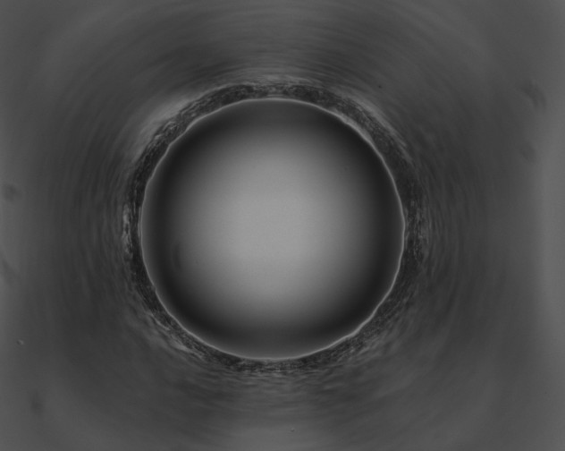 X0000090971016200708021433