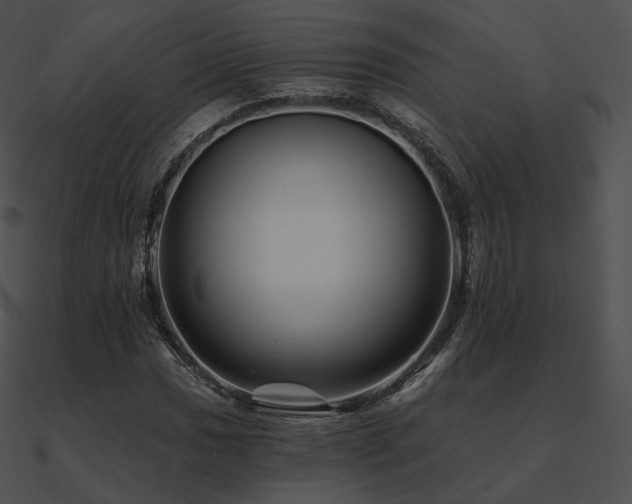 X0000090971017200708021433