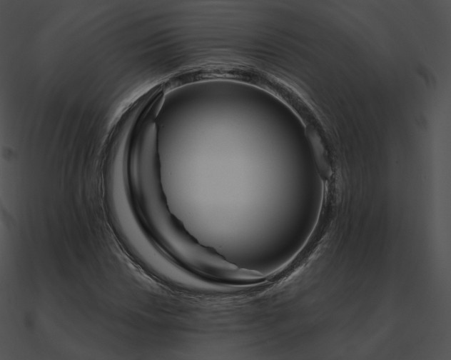 X0000090971018200708021433