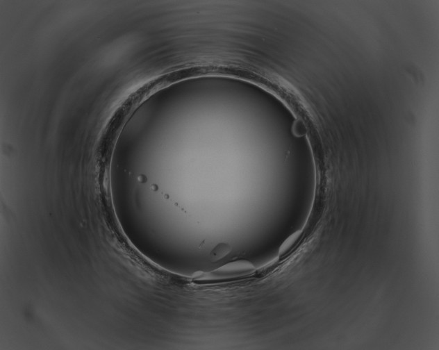 X0000090971019200708021433