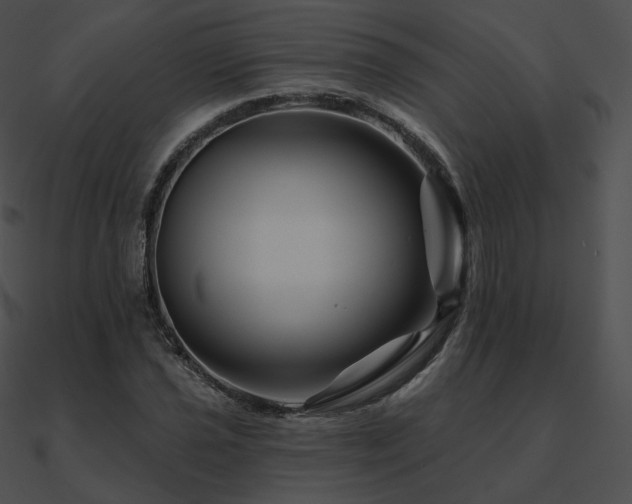 X0000090971021200708021433