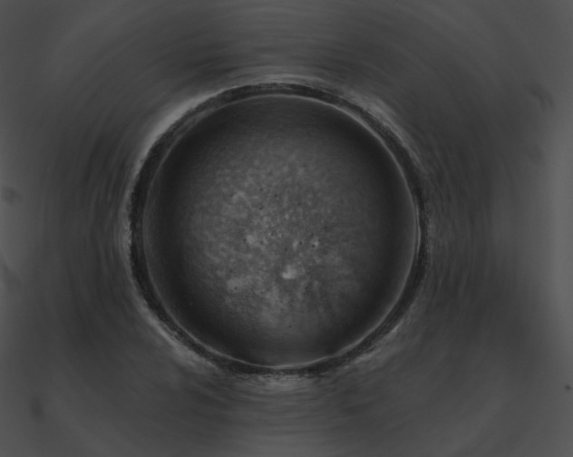 X0000090971024200708021433