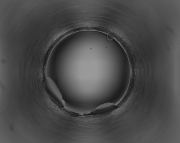 X0000090971025200708021433