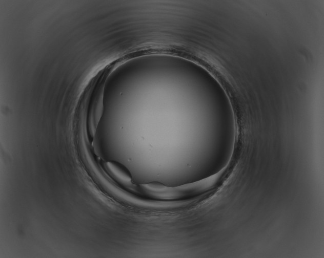 X0000090971026200708021433