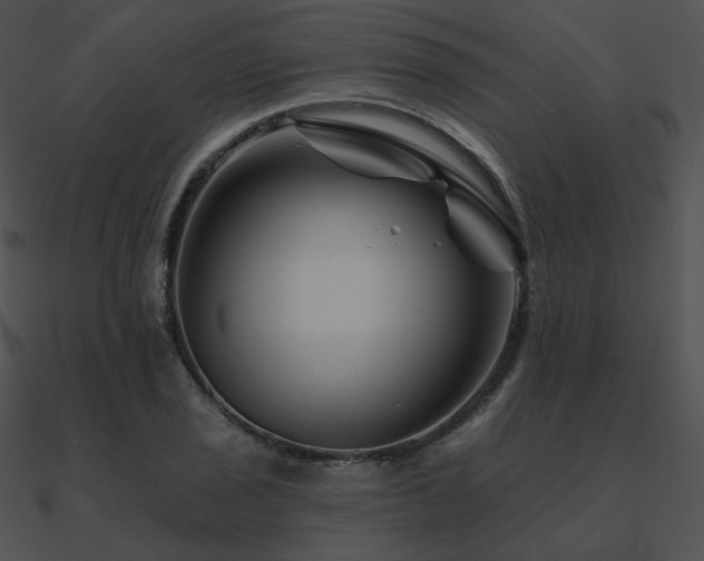 X0000090971029200708021433