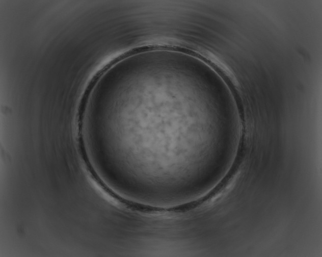 X0000090971037200708021433