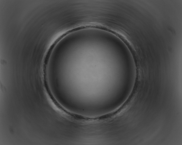 X0000090971038200708021433