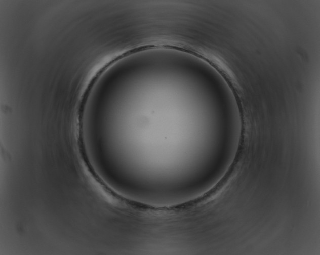 X0000090971040200708021433