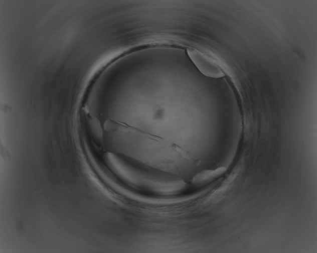 X0000090971045200708021433