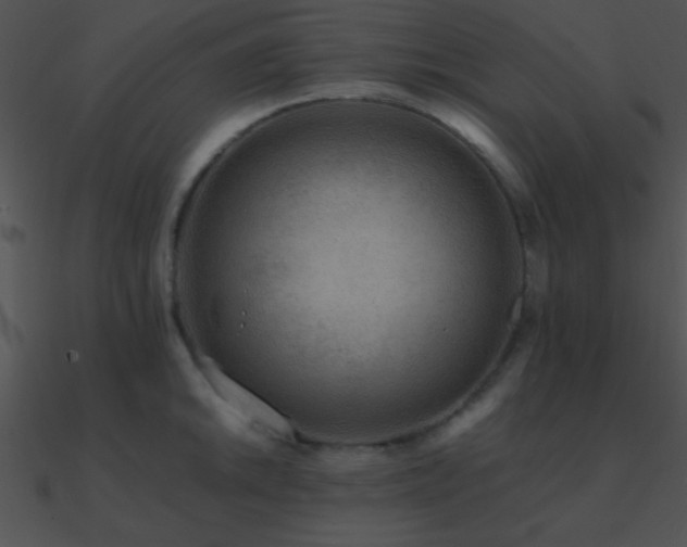 X0000090971046200708021433