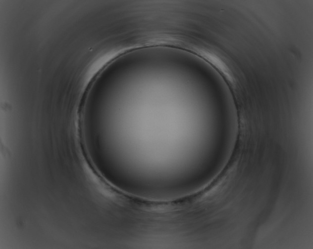 X0000090971047200708021433