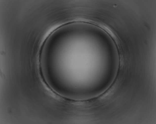 X0000090971048200708021433