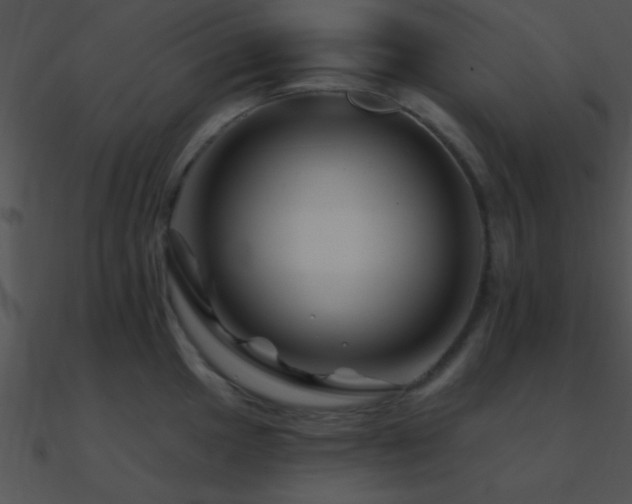 X0000090971049200708021433