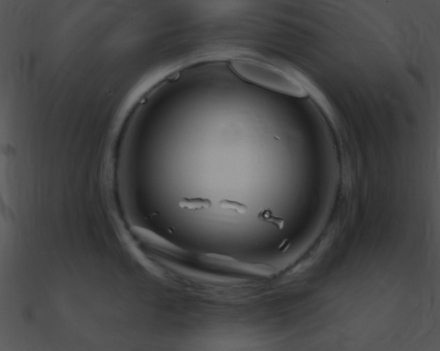 X0000090971053200708021433