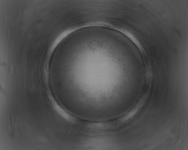 X0000090971054200708021433