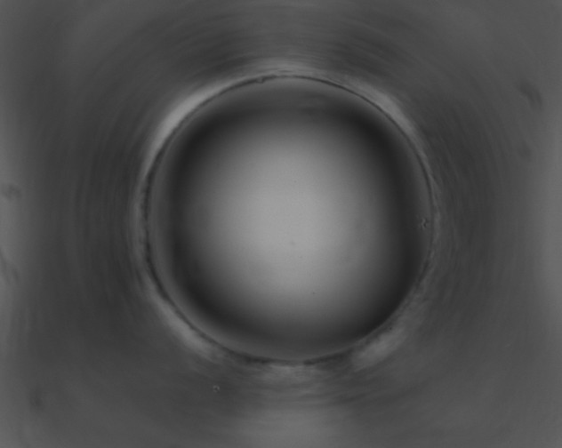 X0000090971056200708021433