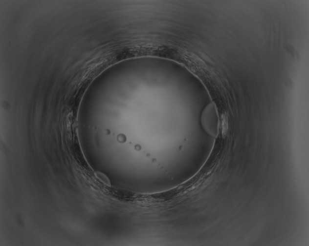 X0000090971059200708021432