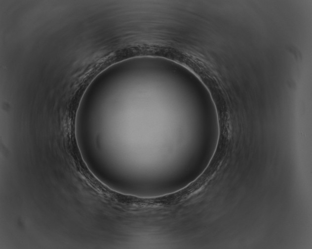 X0000090971061200708021432