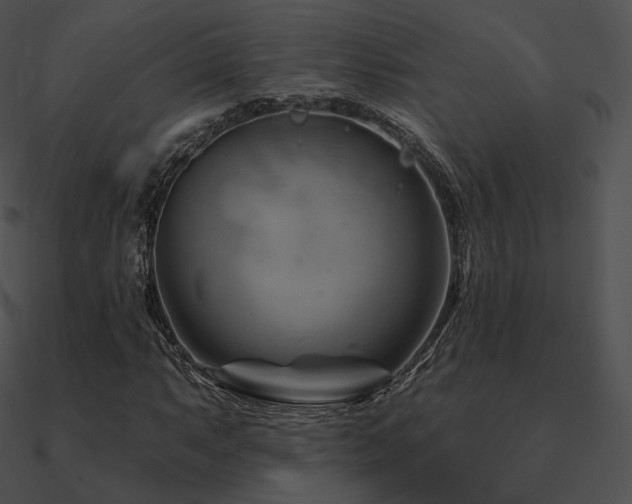 X0000090971063200708021432