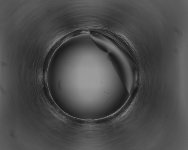 X0000090971065200708021432