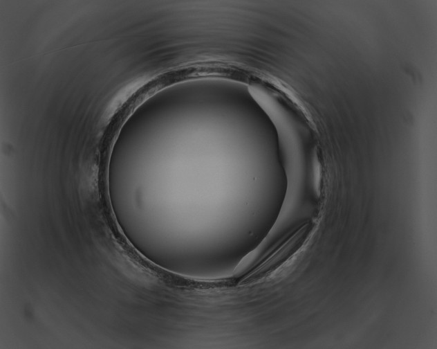 X0000090971066200708021432