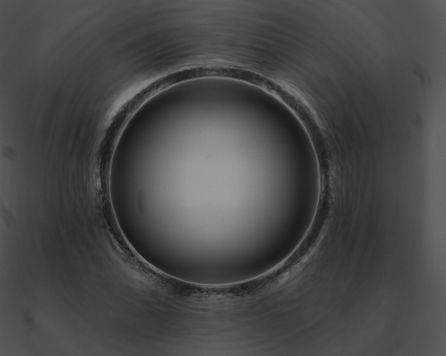 X0000090971070200708021432