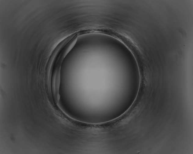 X0000090971073200708021432