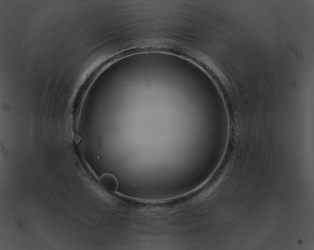 X0000090971075200708021432