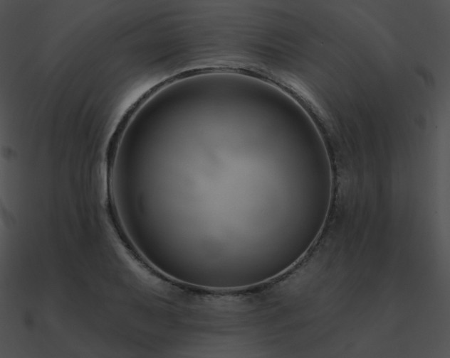 X0000090971079200708021432