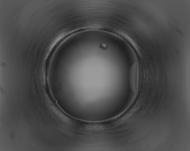 X0000090971083200708021432