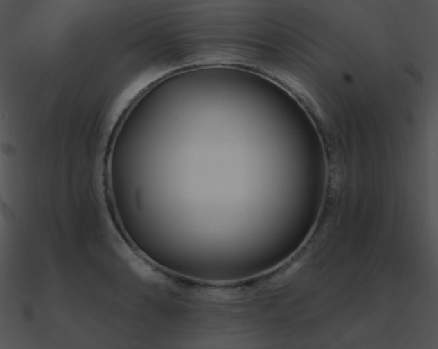 X0000090971086200708021432