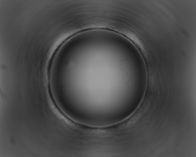 X0000090971088200708021432