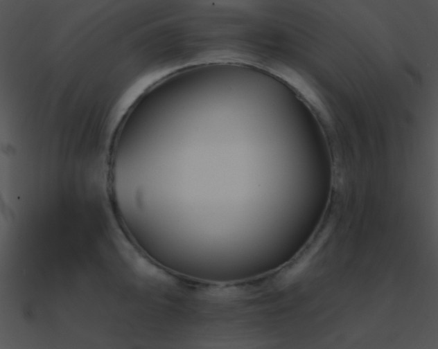 X0000090971094200708021432