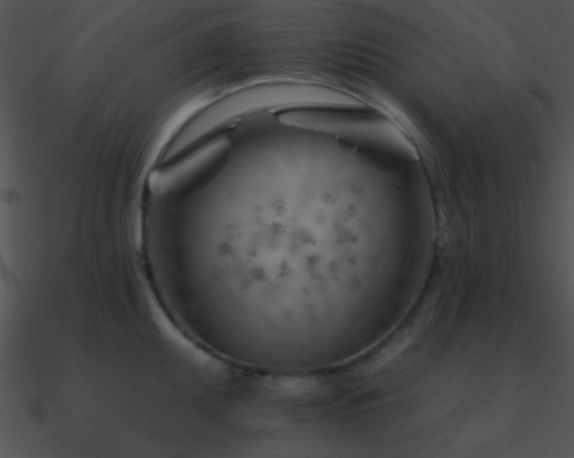 X0000090971095200708021432