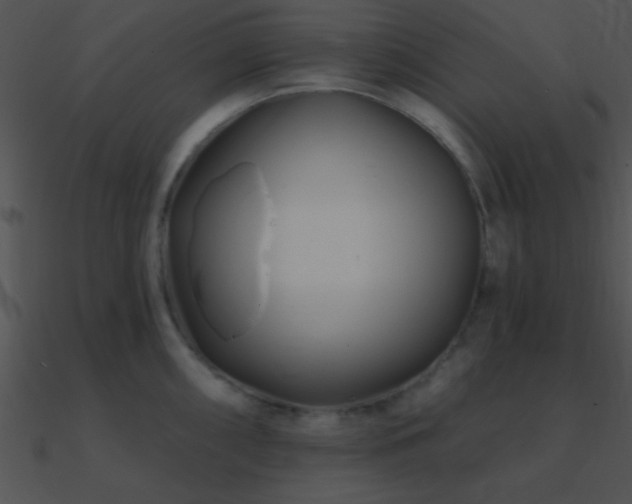 X0000090971098200708021432