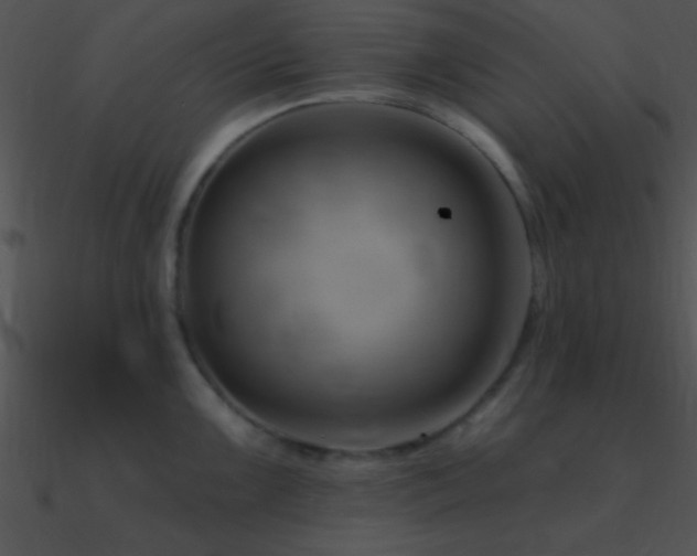 X0000090971099200708021432