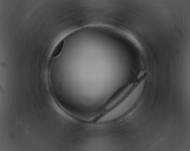 X0000090971100200708021432